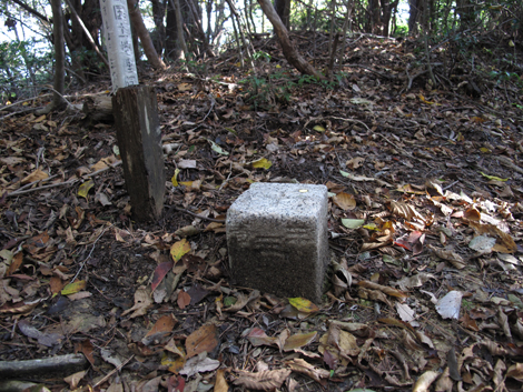 20131116hike (74)